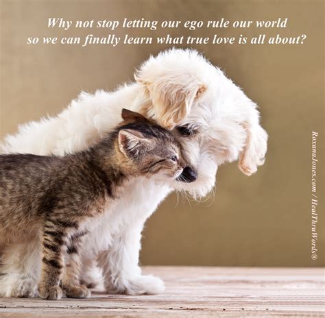 List of top 10 famous quotes and sayings about cat and human friendship to read and share with friends on your facebook, twitter, blogs. Cats Dogs And Quotes About Life And Love