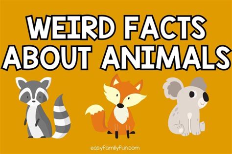 100 Weird Facts About Animals For Kids
