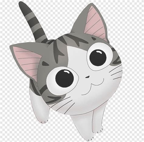 Gatito Gato Dibujo Anime Manga Dulce Hogar De Chi Gatito Gato Png
