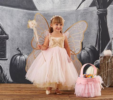 Butterfly Fairy Costume Pink Toddler Fairy Costume Fairy Princess