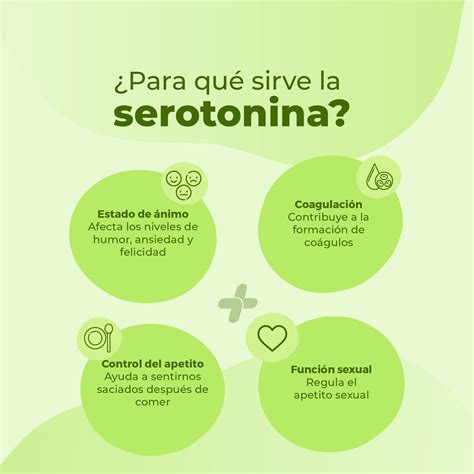 Importancia De La Serotonina Consejos Para La Salud Vida Saludable Consejos Serotonina
