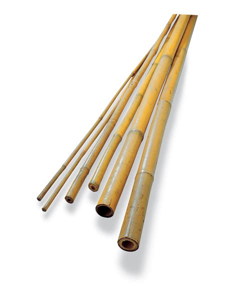 Bamboo Poles Bamboo Stakes Bamboo Sticks Free Shipping In 2022