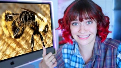 Reacting To Bee Porn Youtube