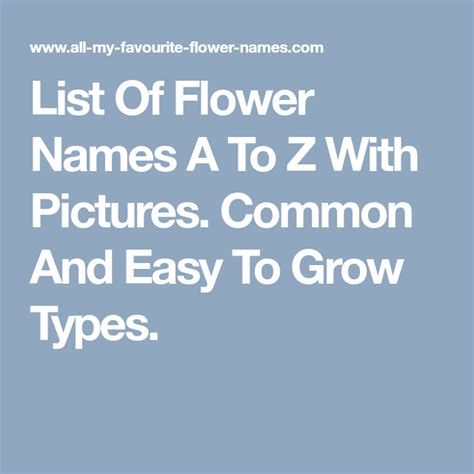 Chives, leeks and garlic are all delicious in green salads, potato and pasta salads and dips. List Of Flower Names A To Z With Pictures. Common And Easy ...