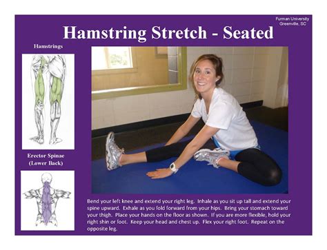 Tight Muscles Try These 7 Simple Stretches Live Well Furman