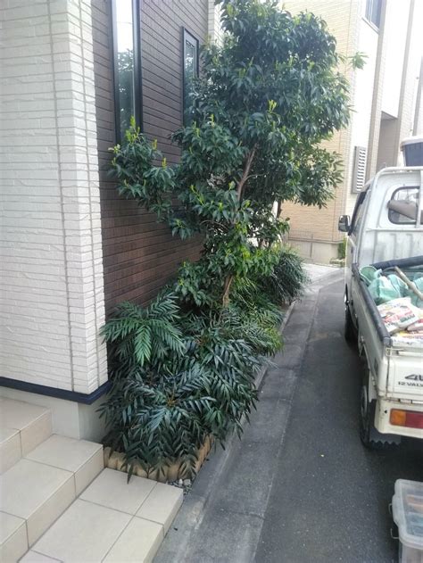 植栽スペースの木を処分して固まる土施工。駐輪スペースに／和光市 | お庭の専門店ニワナショナル（東京・埼玉）