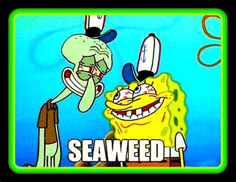 4 Funny Spongebob Squidward Seaweed Vinyl Sticker Etsy