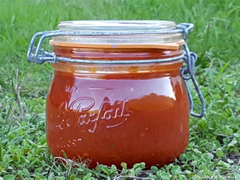 Begleiten Pistole Schätzen stérilisation cocotte minute sauce tomate