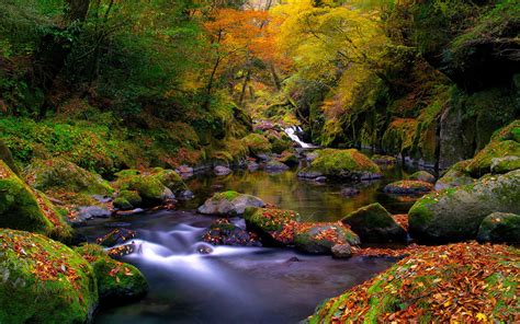 Landscape Mountain River In The Autumn Fallen Leaves Red Rock Yellowed