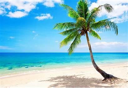 Tropical Beach Wallpapers Background Nu Resolution Awesome