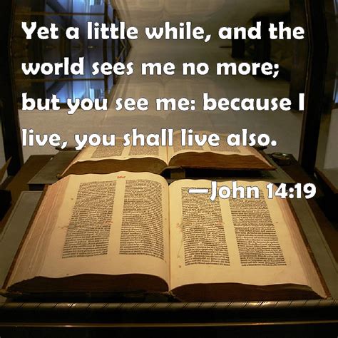 John 1419 Yet A Little While And The World Sees Me No More But You