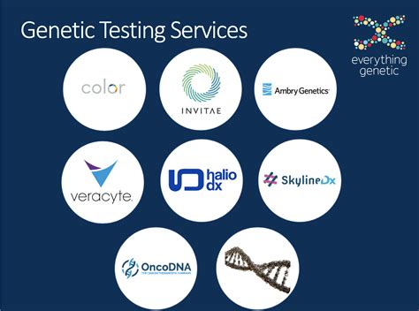 Everything Genetic Democratising Genetic Testing For All Everything