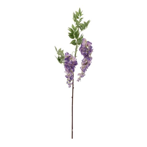 Violet Two Head Wisteria Cm Hobbycraft