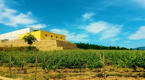 Quinta de Santa Cristina - An Innovative Wine Tourism Approach