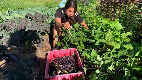 Food Sovereignty — Anishinaabe Agriculture Institute