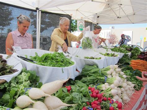 11 Reasons to Shop From Your Local Food Producer – New Mexico Farmers
