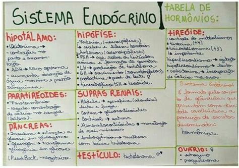 Resumo Dr Biologia Sistema End Crino Sistema End Crino Endocrino