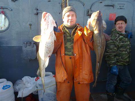 Бесплатная диета персонально Павел Субботин | ВКонтакте Павел Субботин | ВКонтакте Бесплатная диета персонально