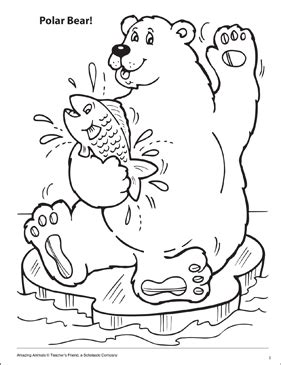 768 x 995 jpeg 46 кб. Polar Bear! Amazing Animals Coloring Page | Printable ...