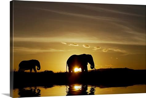 African Elephant Sunset Wall Art Canvas Prints Framed Prints Wall
