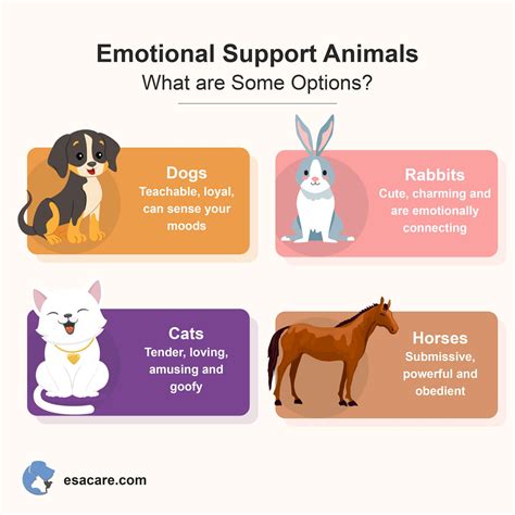 Adopting An Emotional Support Animal Esa The Ultimate Guide Esa Care