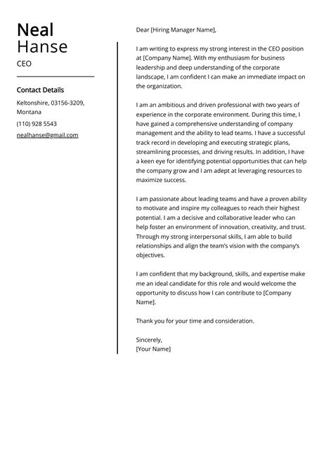 Ceo Cover Letter Example Free Guide