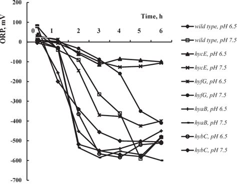 Figure From Escherichia Coli Growth And Hydrogen Production In Batch Culture Upon Formate