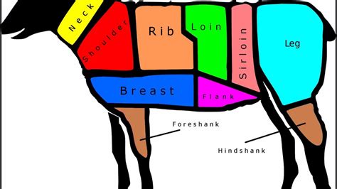 The diagram above shows the general parts of lamb or sheep. Lamb Meat Cuts Chart - YouTube