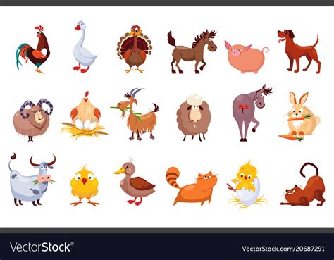 Set Of Farm Animals Livestock And Poultry Vector Image