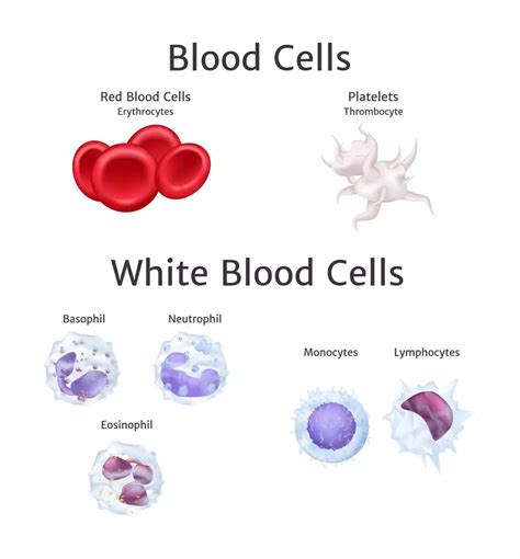 Are Monocyte Counts High In Leukemia Myleukemiateam