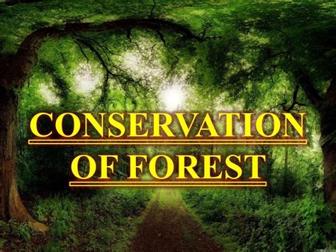 Forest Conservation Animated Ppt
