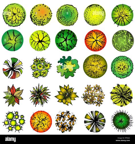 A Set Of Treetop Symbols For Architectural Or Landscape Design Stock