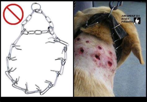 Petition · Ban Prong Collars For Dogs ·