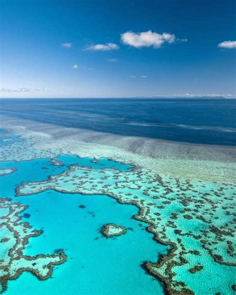 The Stunning Great Barrier Reef Australia Great Barrier Reef