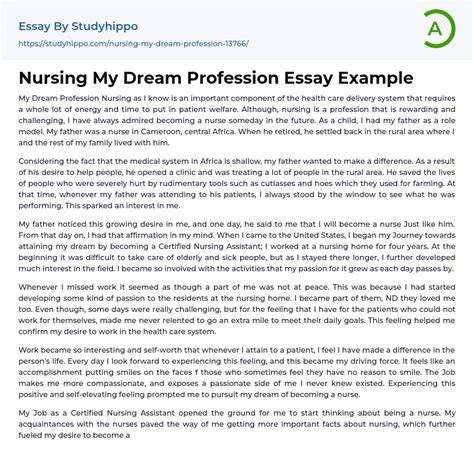 Nursing My Dream Profession Essay Example