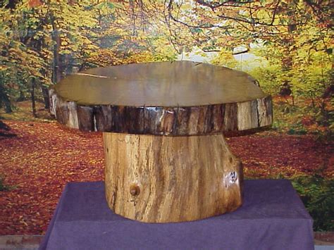 stump tables natural tree root tables