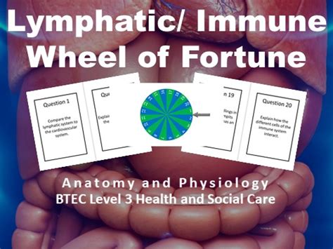 Btec Health And Social Care Anatomy And Physiology Lymphatic And Immune