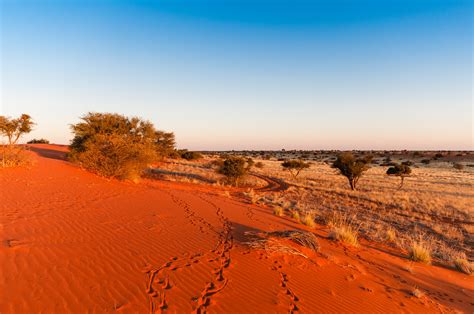 Voyages En Namibie Désert Du Kalahari Et Canyon De Fish River