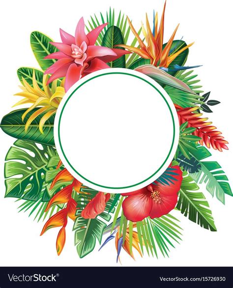 Round Frame From Tropical Plants And Flowers Vector Image On