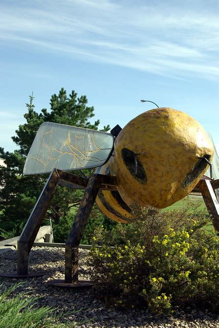 Worlds Largest Honey Bee Flickr Photo Sharing