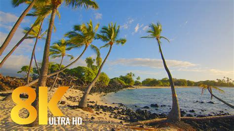8k Relaxation Video 3 Hrs Incredible Diversity Of The Big Island