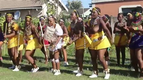 Zulu Cultural Dancing Professional Zulu Dance Youtube