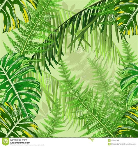 Set With Leaves And Ferns Cartoon Vector 92474445