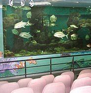 5.28587, 100.28626), officially known as akuarium tunku abdul rahman, is one of the tourist attractions in the fishing village of batu maung. Penang Aquarium Batu Maung, Penang - Malaysia Tourist ...