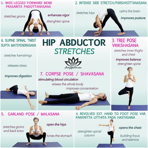 Hip Adductors Stretch