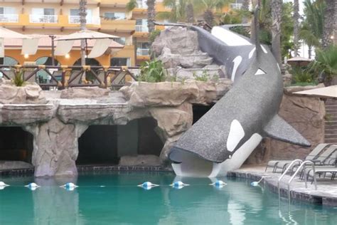 Whale Slide Picture Of Villa Del Palmar Beach Resort And Spa Los Cabos