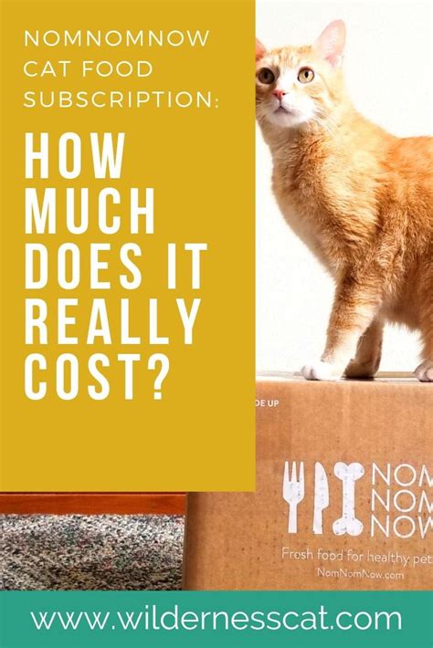 Nom nom cat food reddit. How Much Does Nom Nom Cat Food Cost? | Cat food, Cat food ...