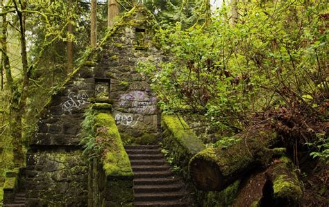 798327 4k 5k Forest Park Portland Oregon Usa Forests Stairs Moss