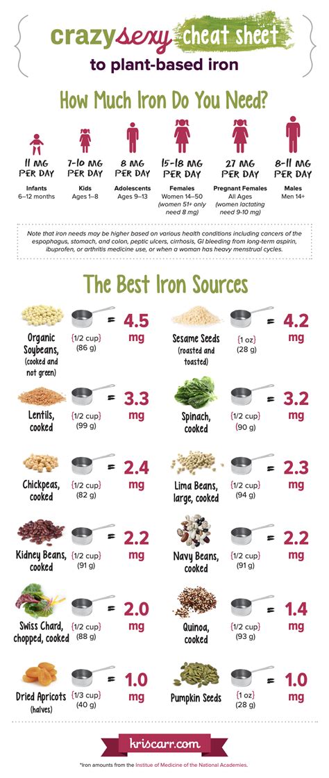 Plant Based Iron Rich Foods Top 12 Sources Infographic