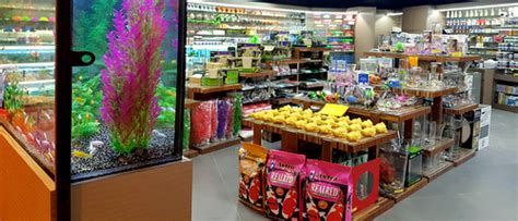 Get the best pet supplies online and in store! AMB Aquatic HUB Pet Stores in Singapore - SHOPSinSG